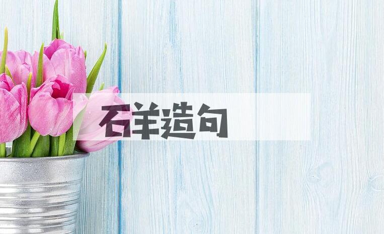 用石羊造句