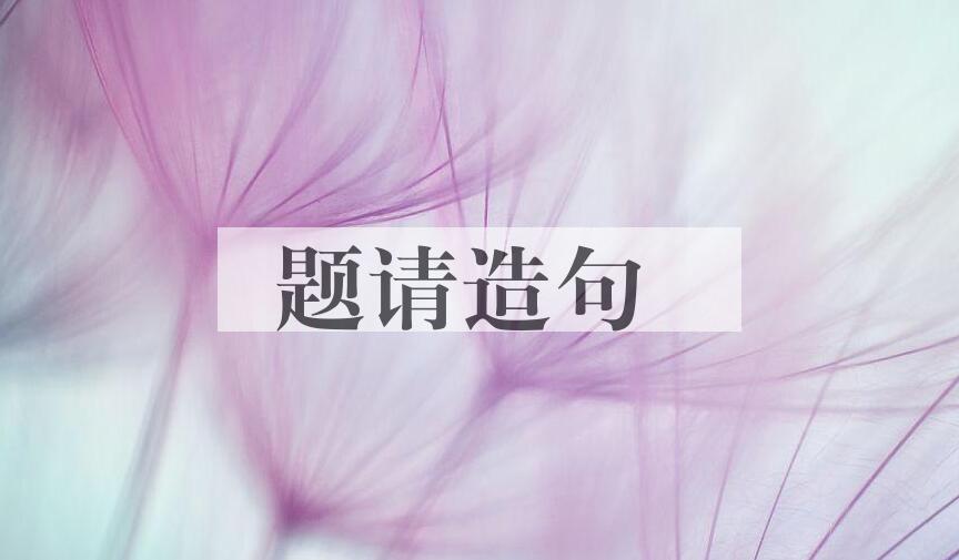 用题请造句