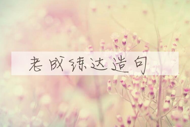 用老成练达造句