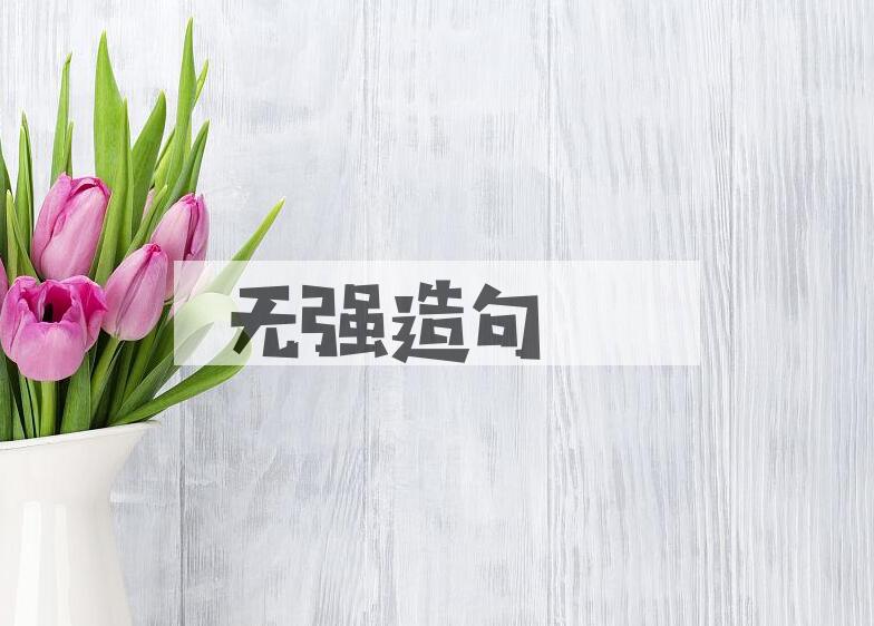 用无强造句