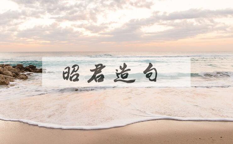 用昭君造句