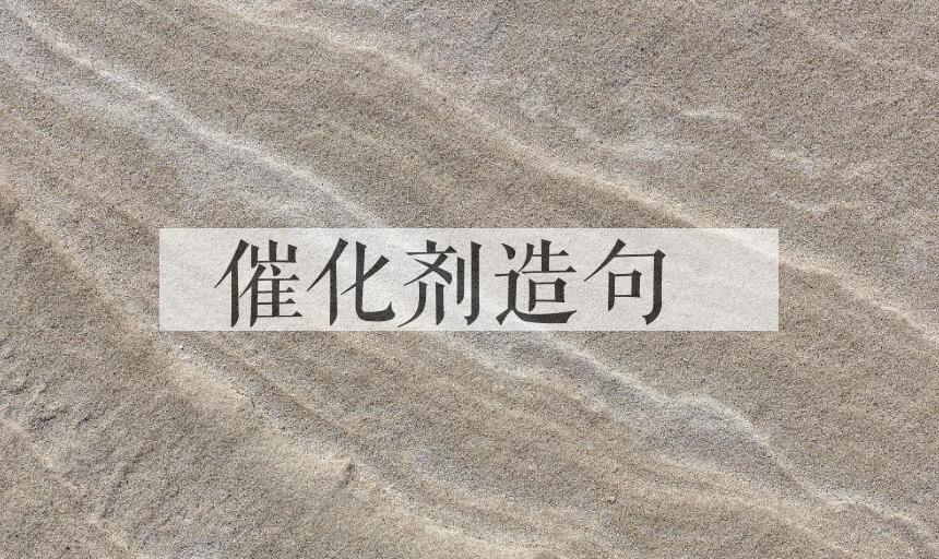用催化剂造句