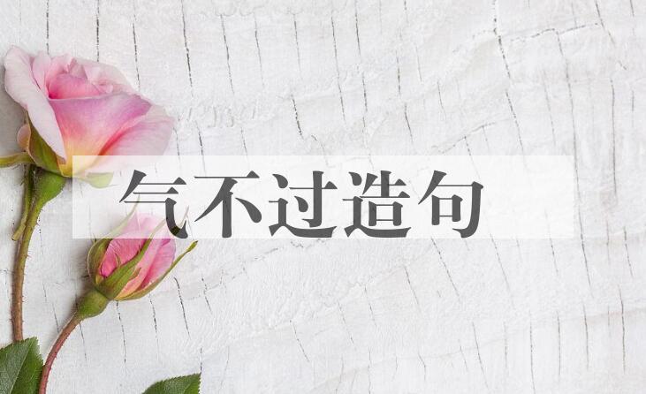 用气不过造句