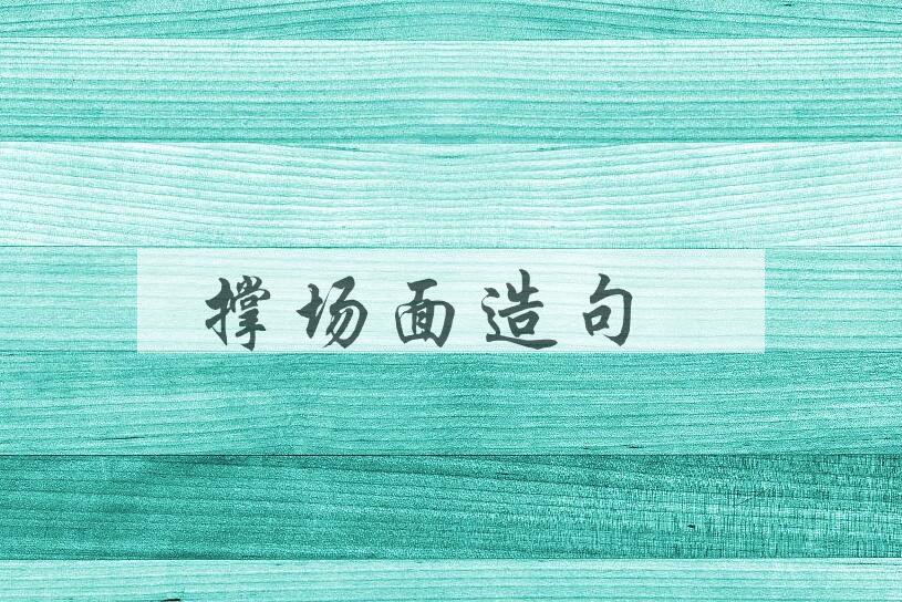 用撑场面造句