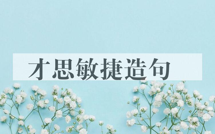 用才思敏捷造句