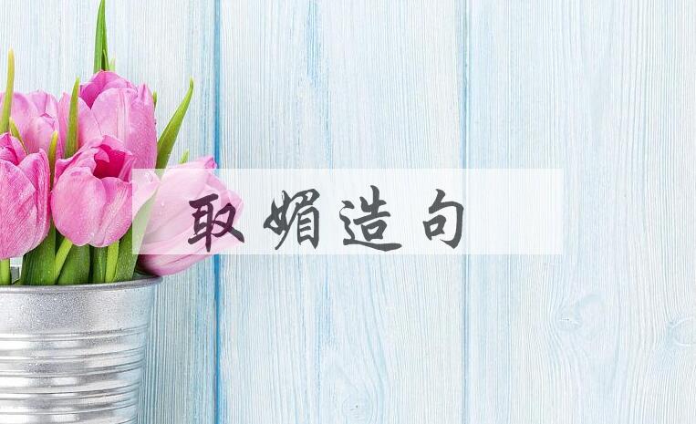 用取媚造句