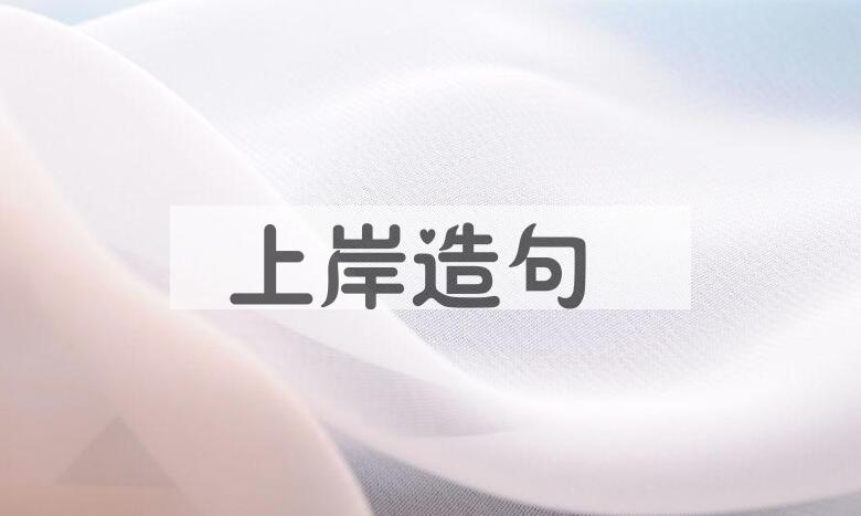 用上岸造句