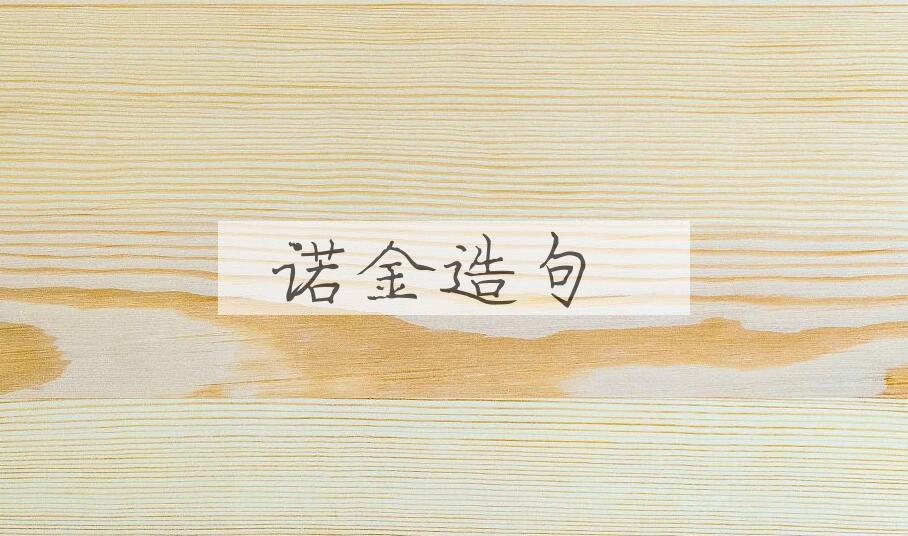用诺金造句