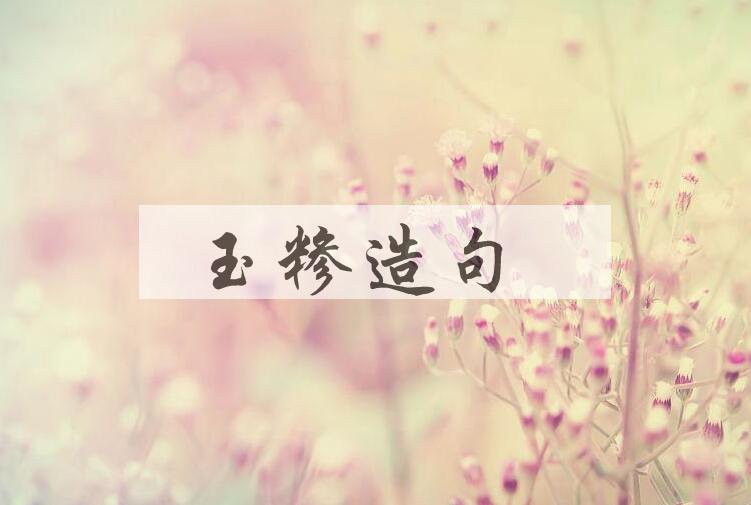用玉糁造句