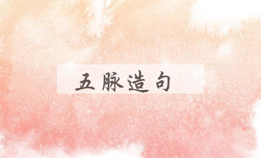 用五脉造句