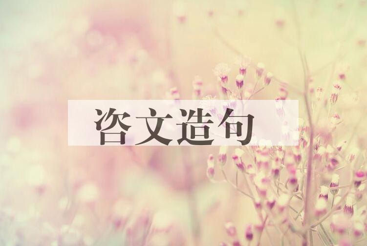 用咨文造句