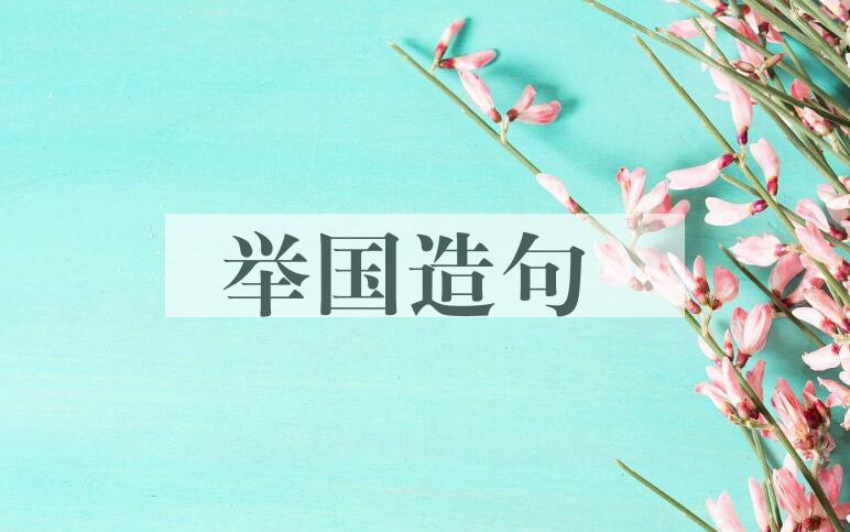 用举国造句