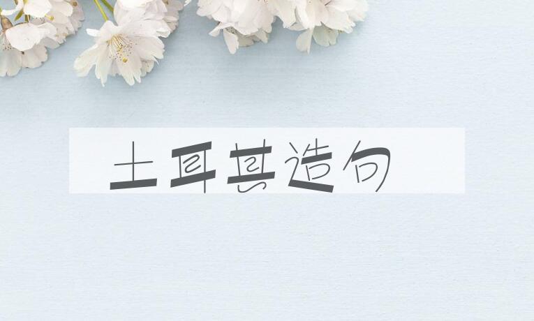 用土耳其造句