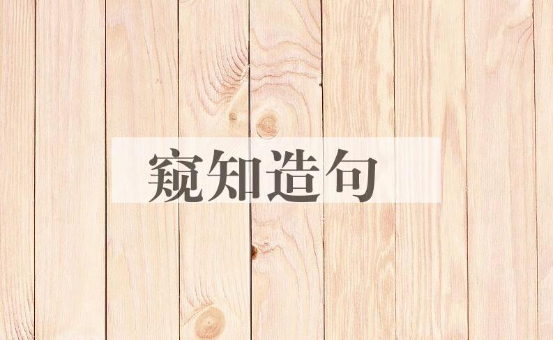 用窥知造句
