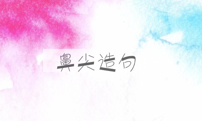 用鼻尖造句