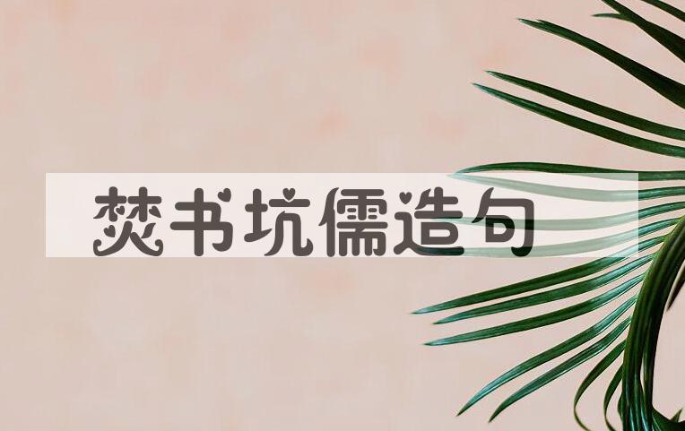 用焚书坑儒造句