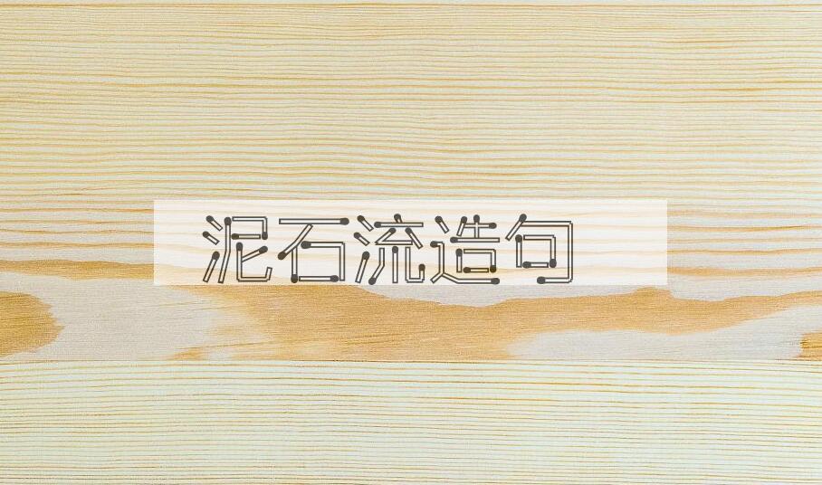 用泥石流造句