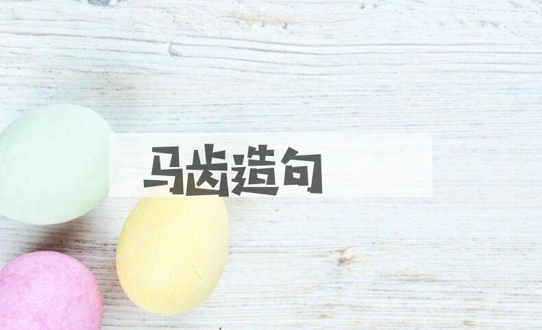 用马齿造句