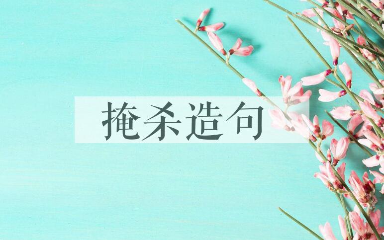用掩杀造句
