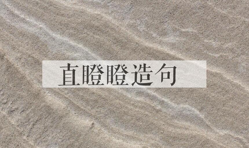 用直瞪瞪造句