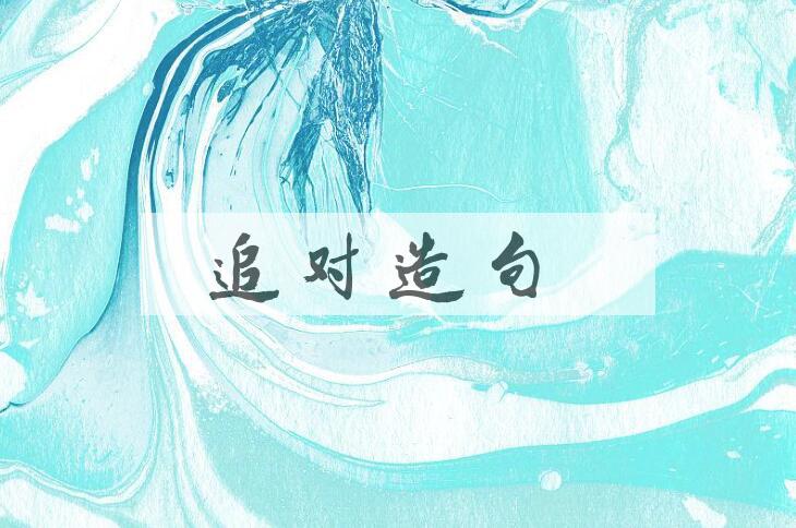 用追对造句