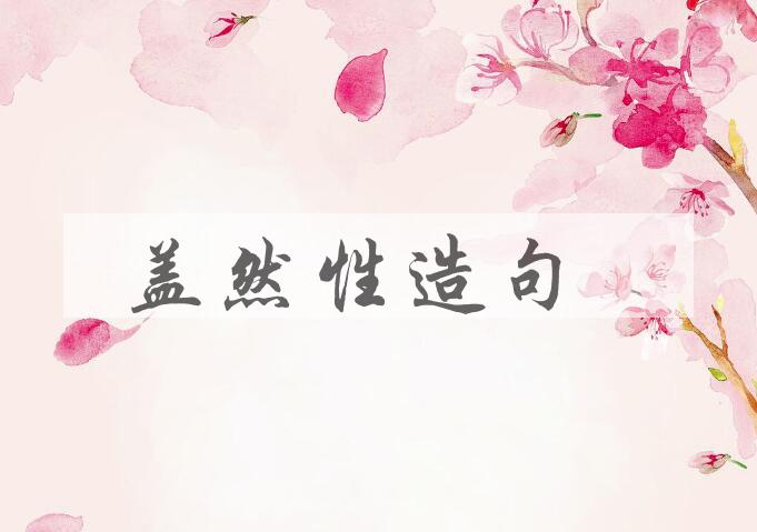 用盖然性造句
