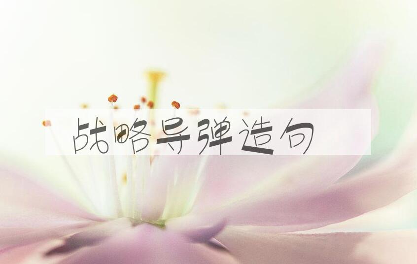 用战略导弹造句