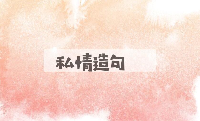 用私情造句