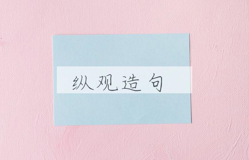 用纵观造句