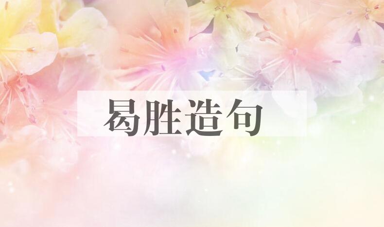 用曷胜造句