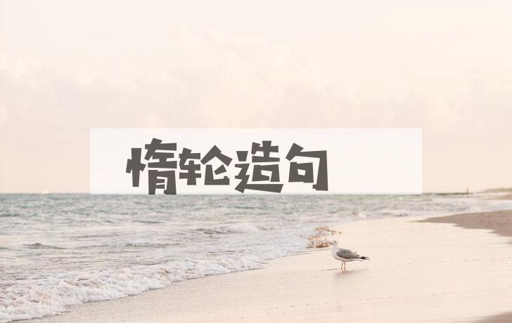 用惰轮造句