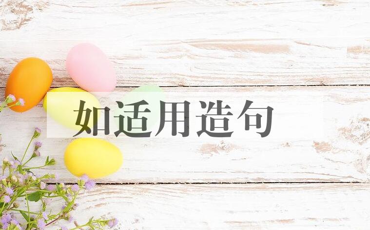 用如适用造句