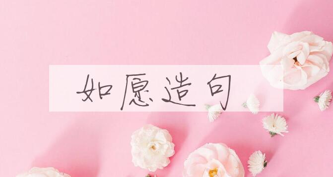 用如愿造句