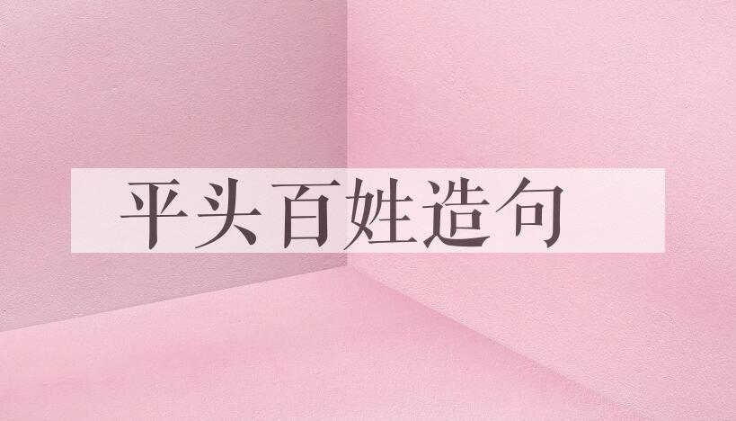 用平头百姓造句