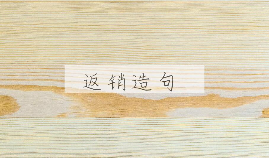 用返销造句