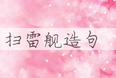 用扫雷舰造句