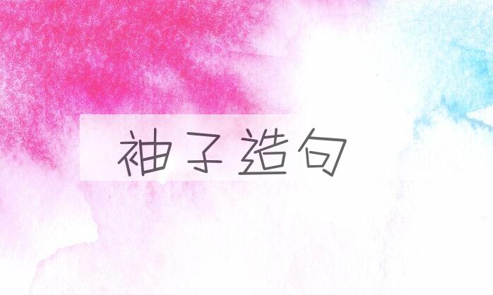 用袖子造句