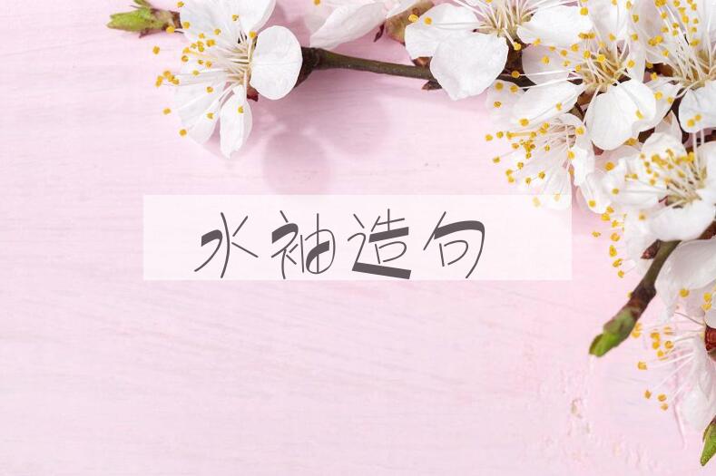 用水袖造句