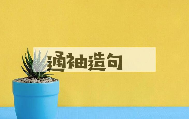 用通袖造句