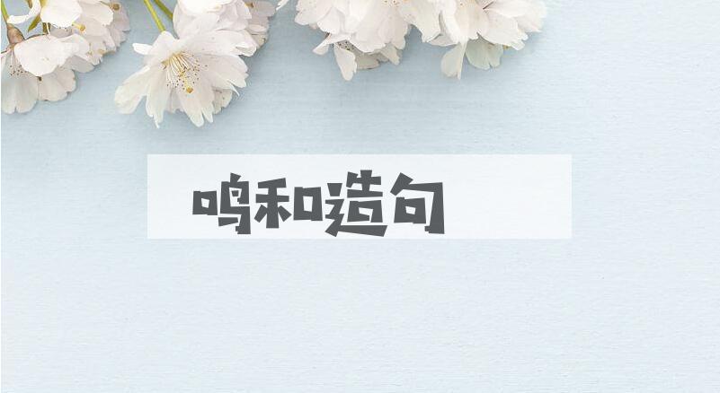 用鸣和造句