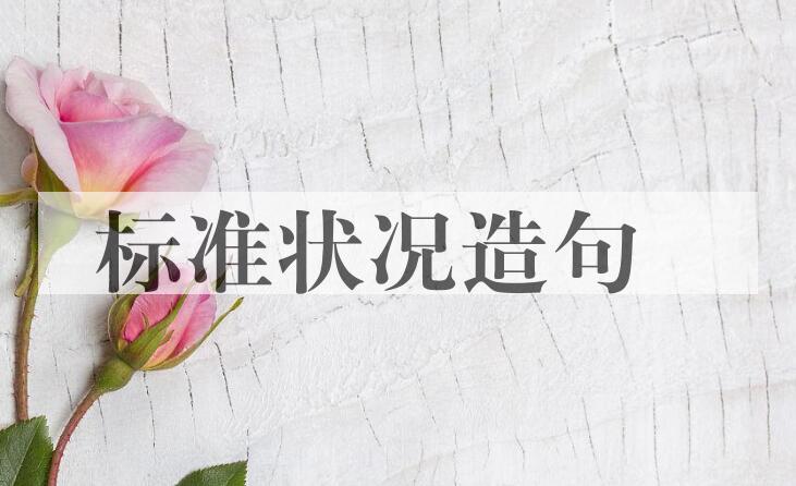 用标准状况造句