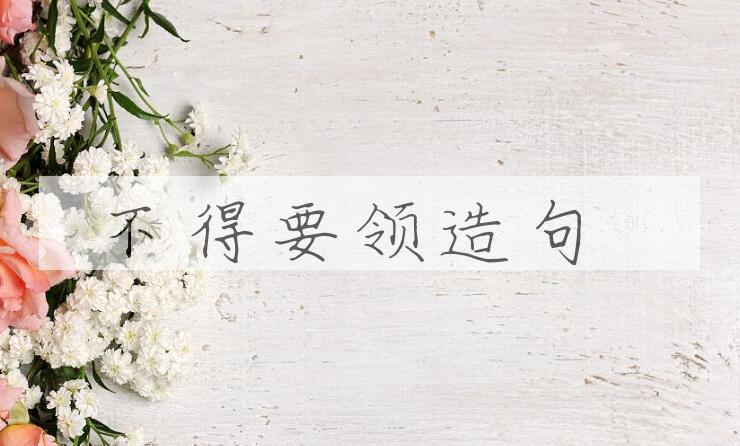 用不得要领造句