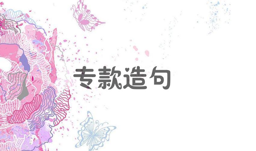 用专款造句