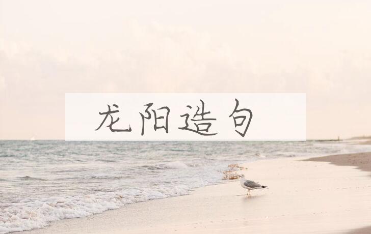 用龙阳造句