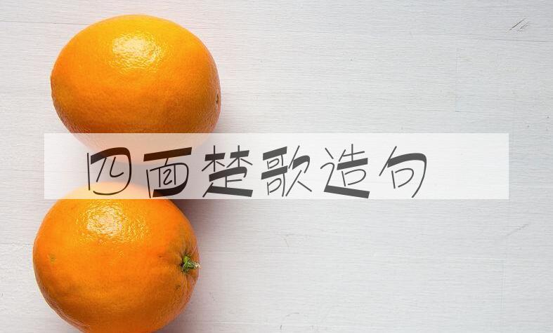 用四面楚歌造句