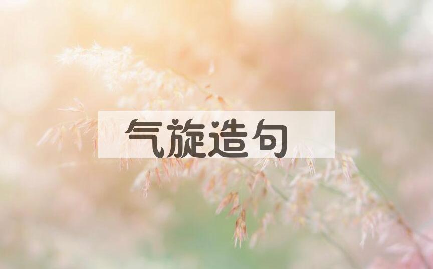 用气旋造句