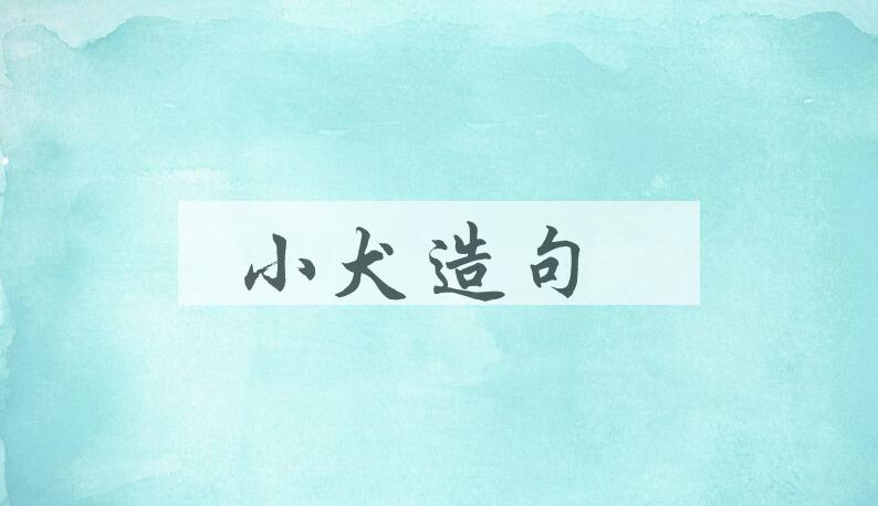 用小犬造句