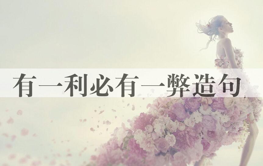用有一利必有一弊造句