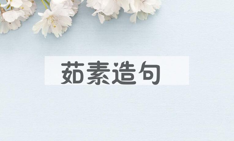 用茹素造句
