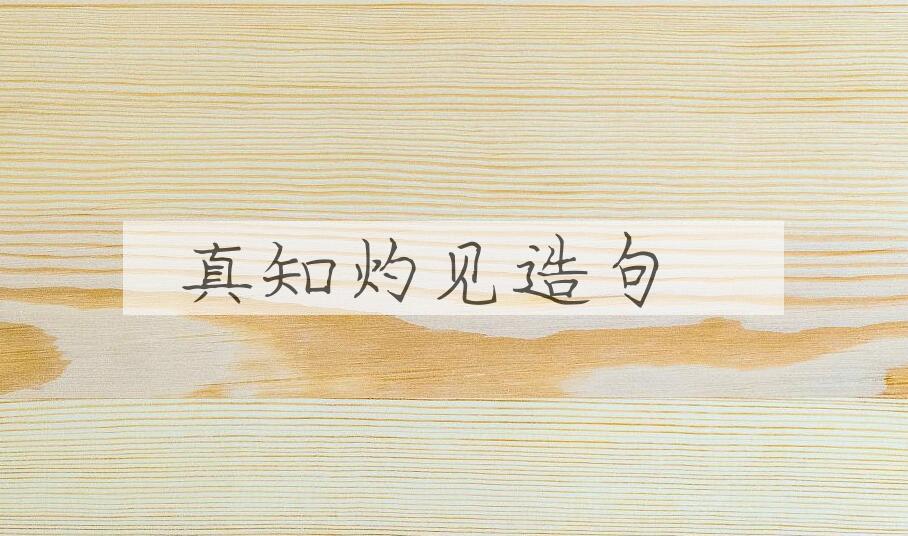 用真知灼见造句